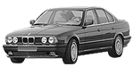 BMW E34 P1600 Fault Code